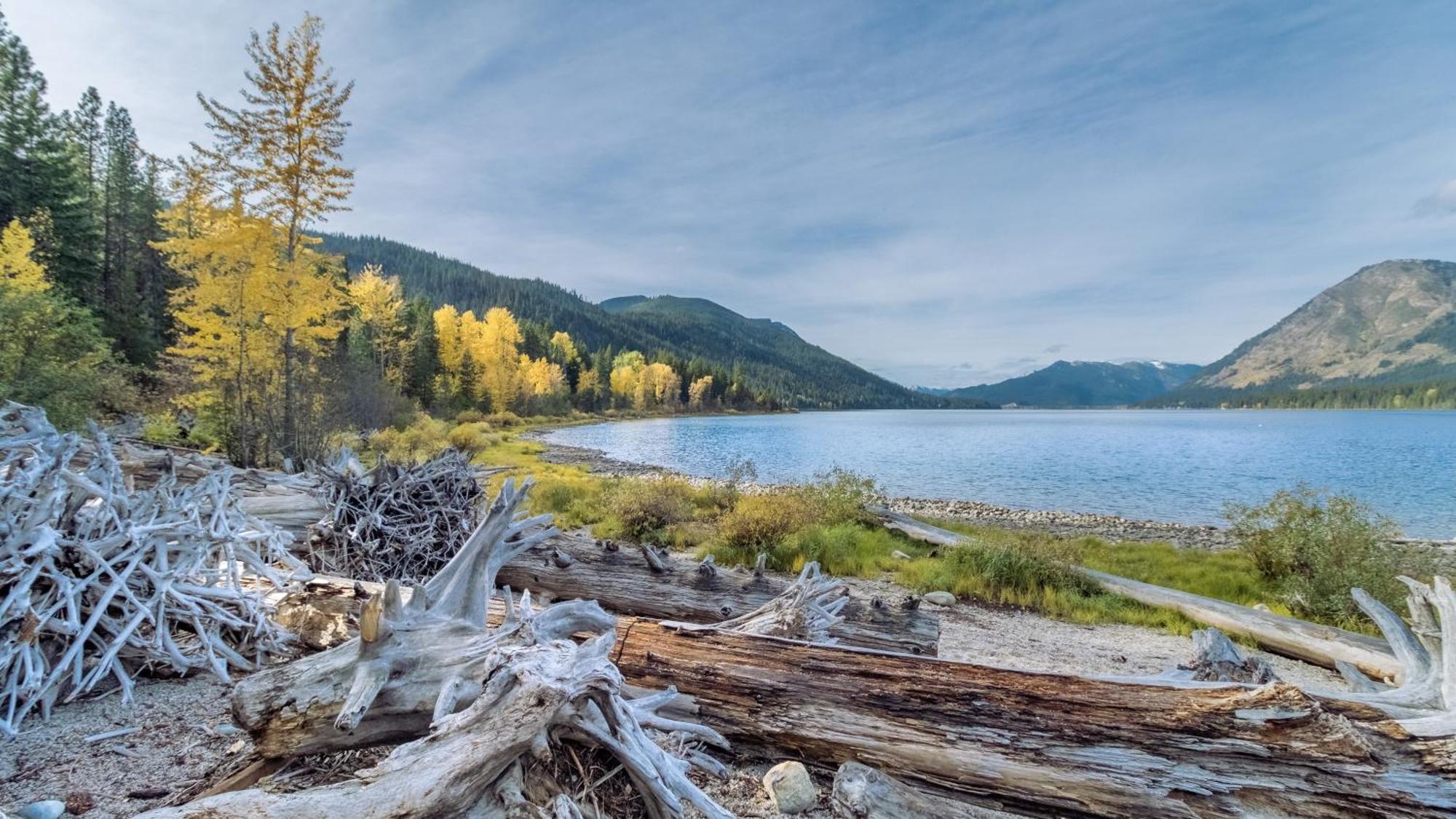 Nature Acres By Nw Comfy Cabins Leavenworth Εξωτερικό φωτογραφία